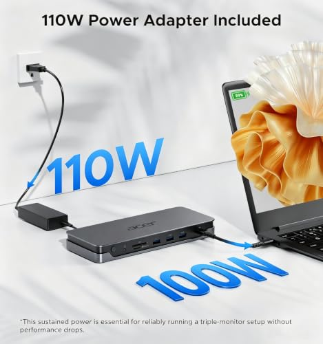 1Gbps LAN