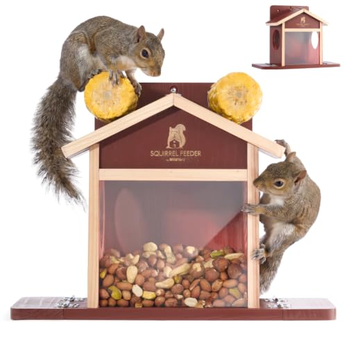 Wall & Tree Mount Squirrel House with Metal Corn Cob Holder