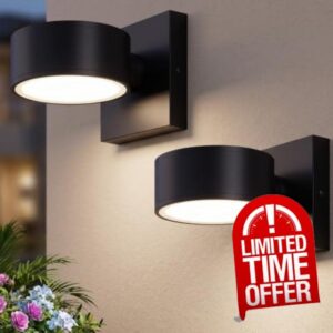 BesLowe 2-Pack LED Outdoor Wall Lights