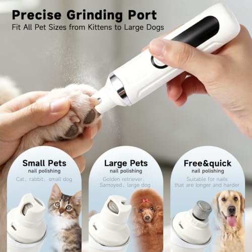 Pet Grooming Kit
