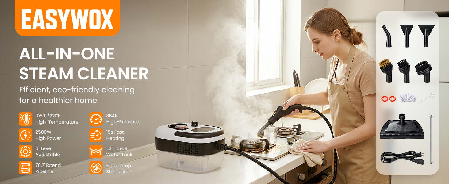 steam cleaner