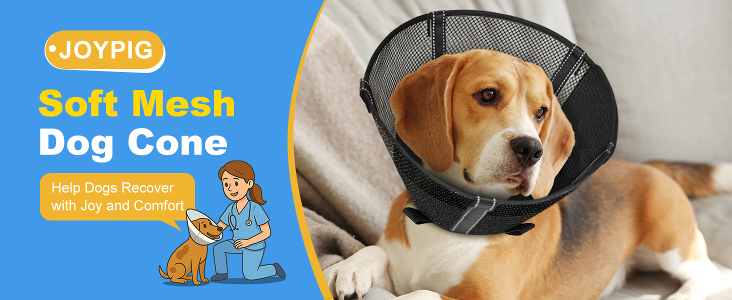 137 dog cone