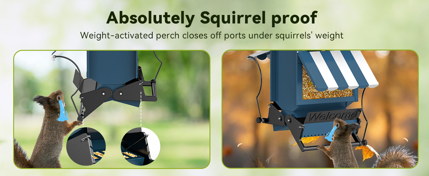 bird feeders