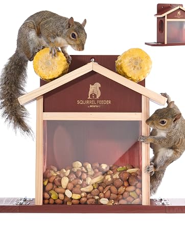 bird feeder