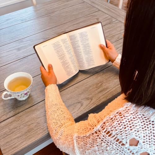 NIV Journaling