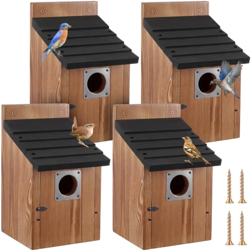 1-1/2" Entrance Hole Wooden Blue Bird Houses for Outdoors