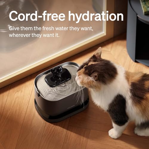 2.5L/84oz Dockstream Water Fountains for Cats Indoor