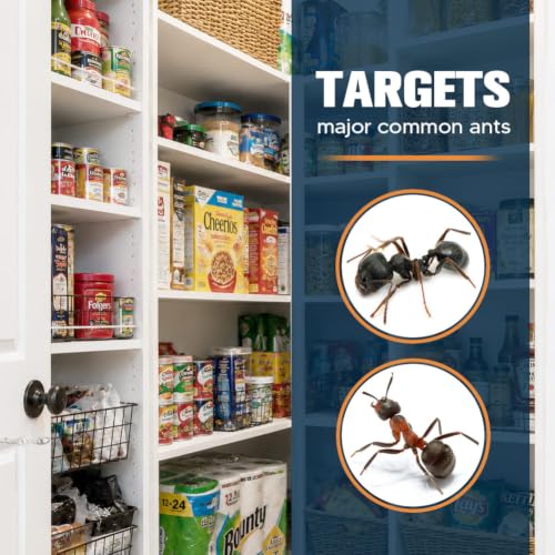 Cabinets & Entry Points
