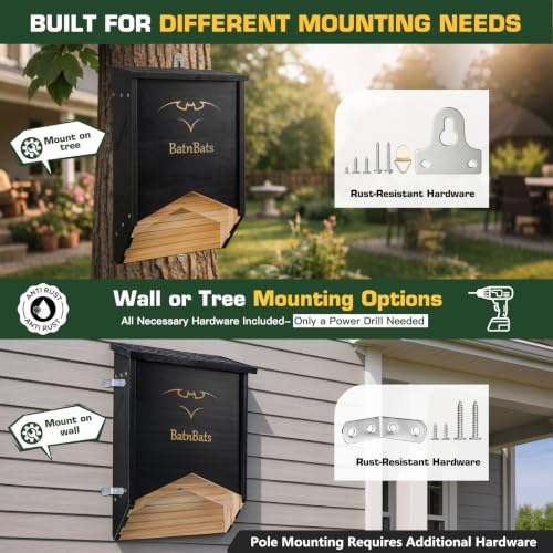Mosquitoe-Free Backyard