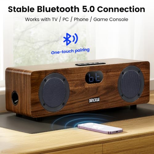 DSP Tuning Wooden Audio System for TV/Party/Karaoke(CT-400-21)
