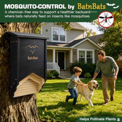 2-Chamber Black Cedar Wooden Bat Shelter with Ventilation