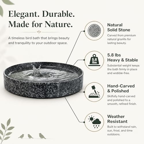 BirdBath for Outdoor