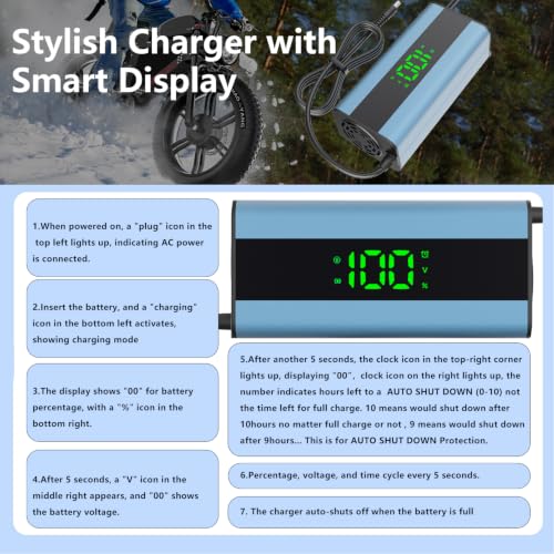 Fast Charging