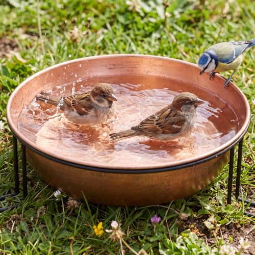 3" Deep Birdbath Bowl with Stand