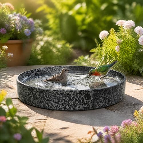 10-Inch Heavy Duty Bird Feeders