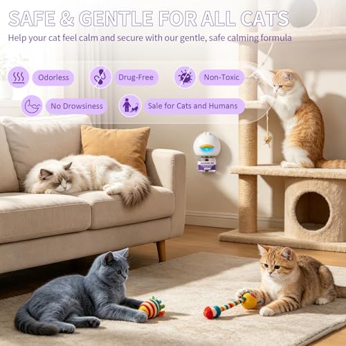 Suitable for All Cats