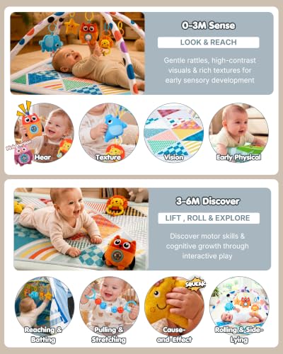 20+ Developmental Features