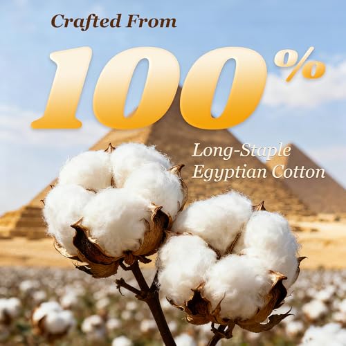 Fade Resistant Cozy for All Seasons