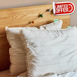 Avocado Organic Kids Pillow — GOLS-Certified Organic Latex