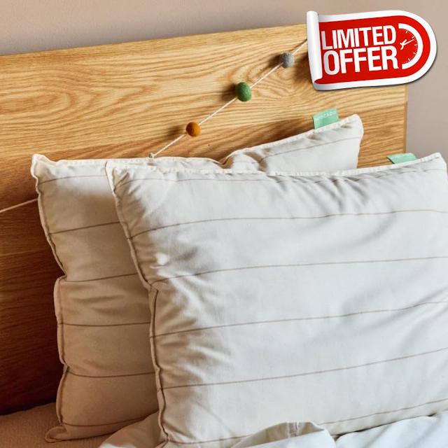 Avocado Organic Kids Pillow — GOLS-Certified Organic Latex