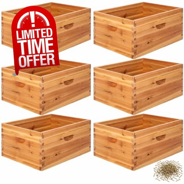 Marsui 6 Pcs Bee Hive 10 Frame Deep Bee Hive Box