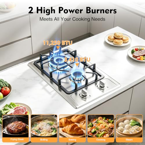 LPG/NG Convertible Dual Fuel Natural for Kitchen Apartment RV