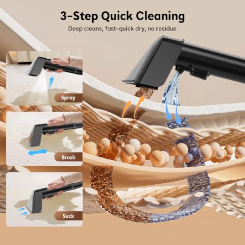 Rug with Large Tank and Self-Cleaning