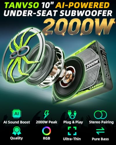 10 Inch Underseat Subwoofer Under Seat Subwoofer with Amp