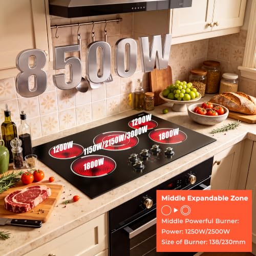 Built-in Cook Top with 99-Min Timer