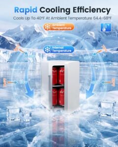 6L Portable Small Refrigerator for Bedroom                                                          Desktop Fridge with AC/DC