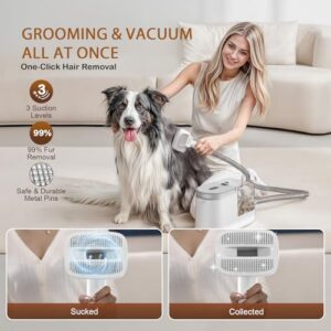 Dog Grooming Kit