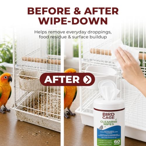 For Parrots