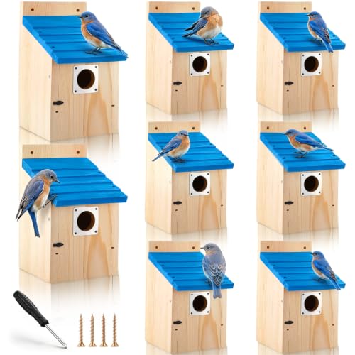 Blue Roof