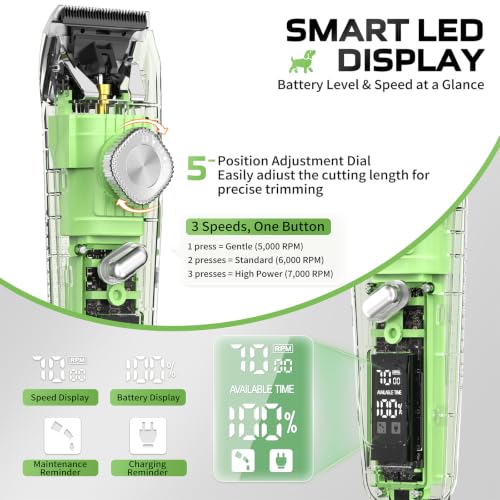 LED Display