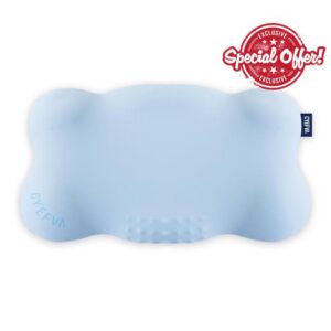 Toddler Pillow