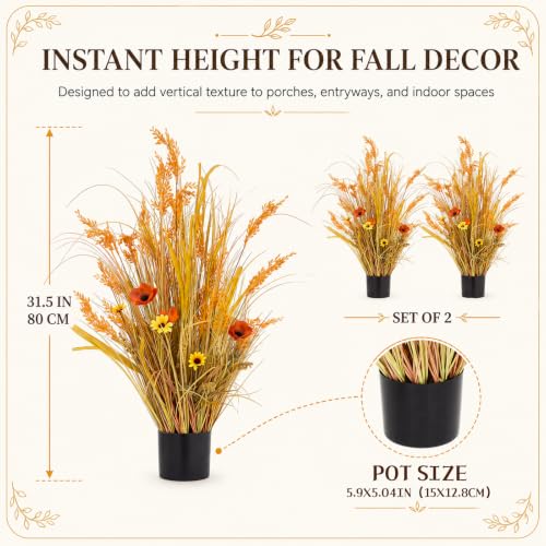 Dried Wheat Stalks with Pot