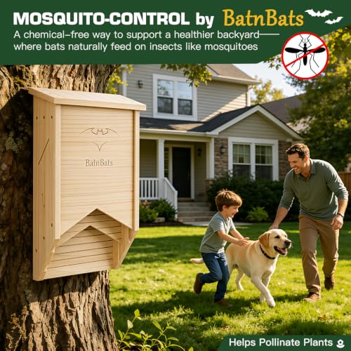 2-Chamber Cedar Cedar Wooden Bat Shelter with Ventilation