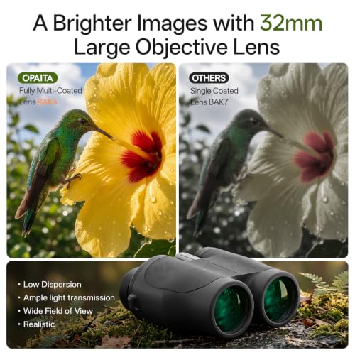 Low Light Vision