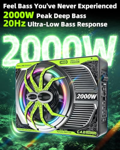 Slim Powered Car Audio Bass