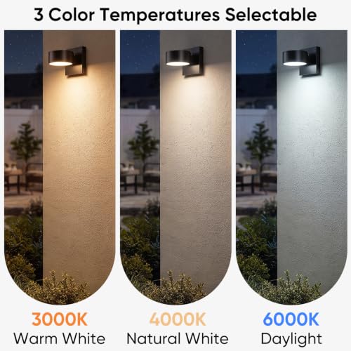 Porch Sconce Lights 3000K/4000K/6000K Selectable