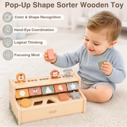 Baby Toys 6-12-18 Months Wooden Animal Toys for Toddlers 1-3