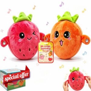 Musical Sensory Toys