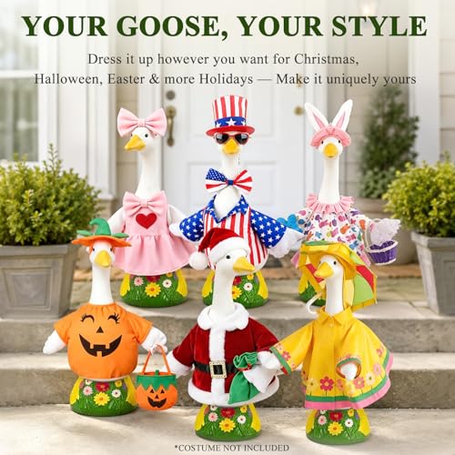 & Garden Decoration