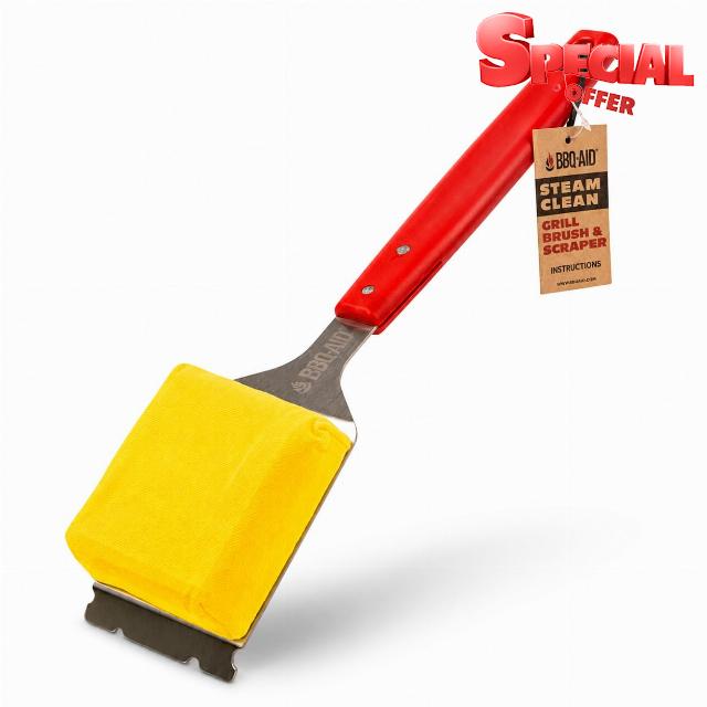 Bristle Free Steam Grill Brush and Scraper for Outdoor Grill