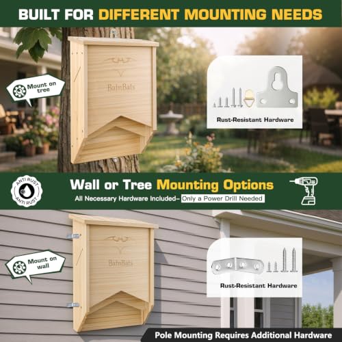 Mosquitoe-Free Backyard