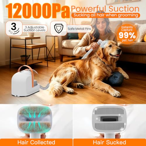 000Pa Suction Pet Grooming Vacuum for Dogs