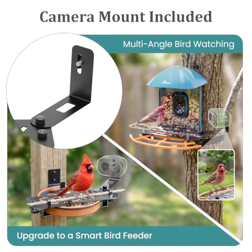 Must-Have Feeder Accessories