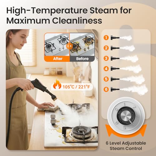 Portable Car Steamer for Auto Detailing & Cleaning