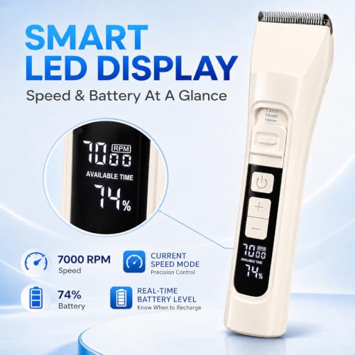 LED Light Aids Visibility