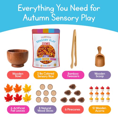 Fall Sensory Bin Filler